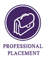 professional  placement services with text